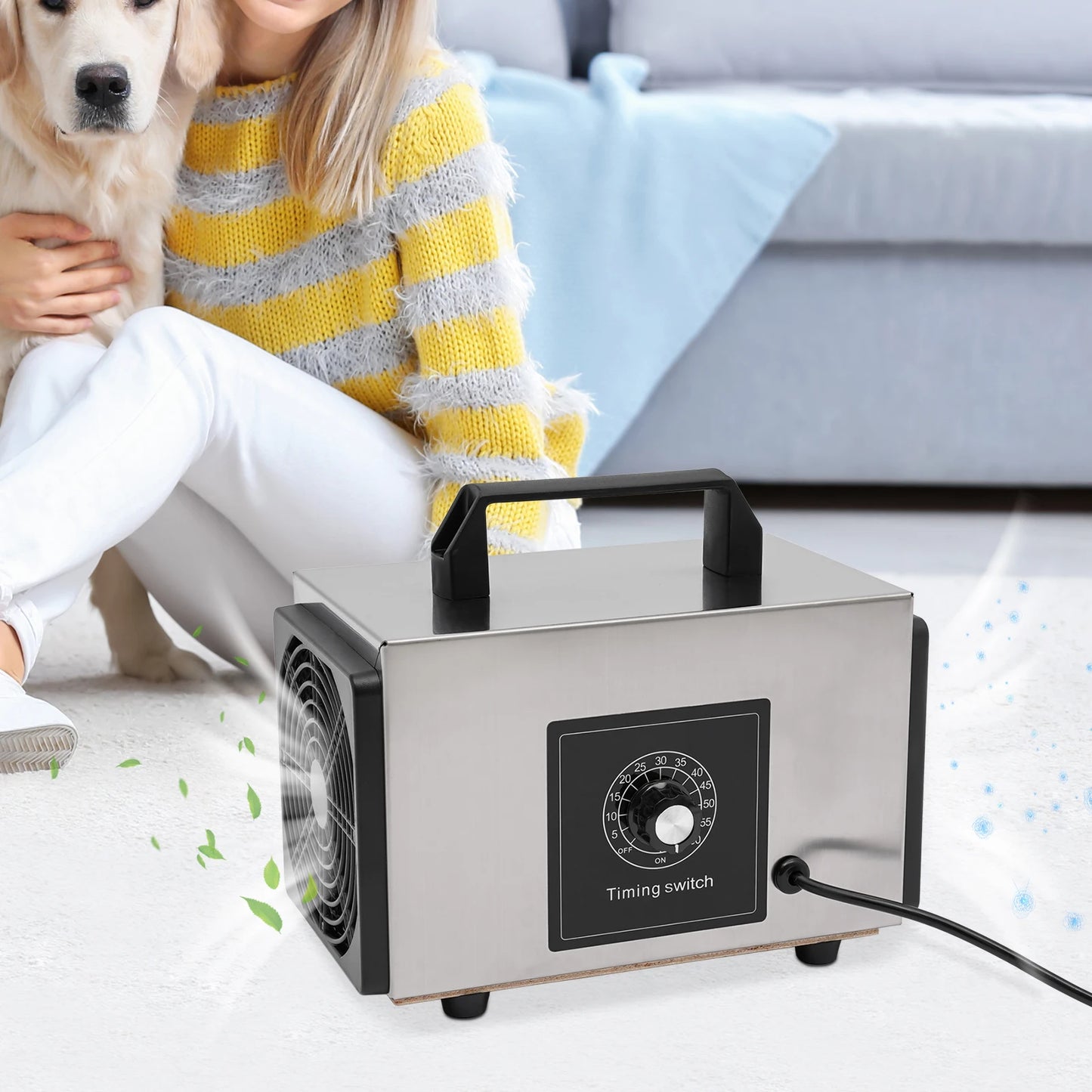 Professional Grade Air Restoration System